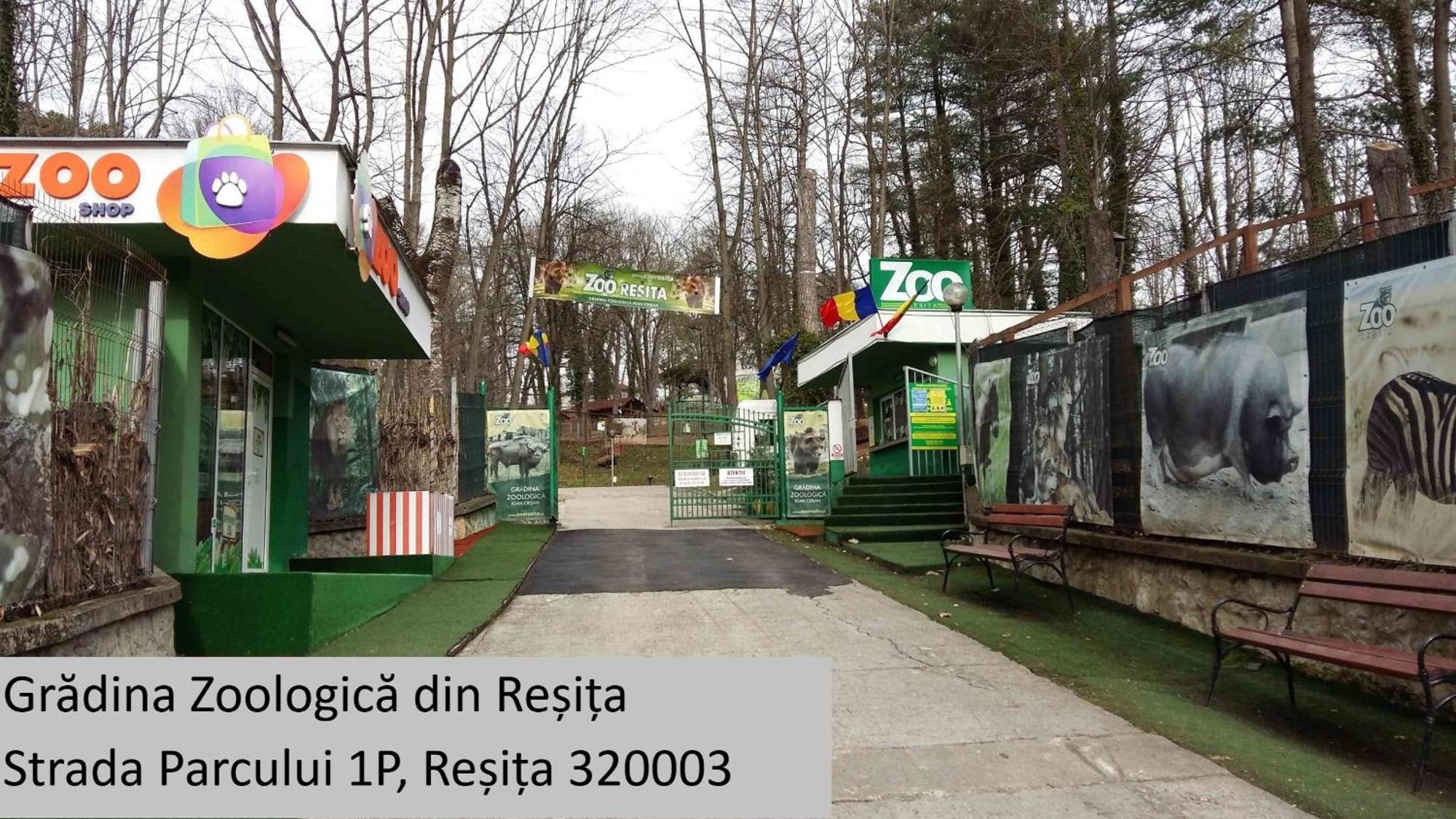 Apartmán Casa Rusu -Victoria-Self Check In-24H Resita Exteriér fotografie